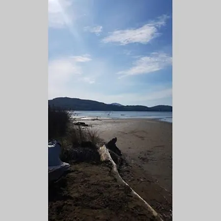 σγουρής *