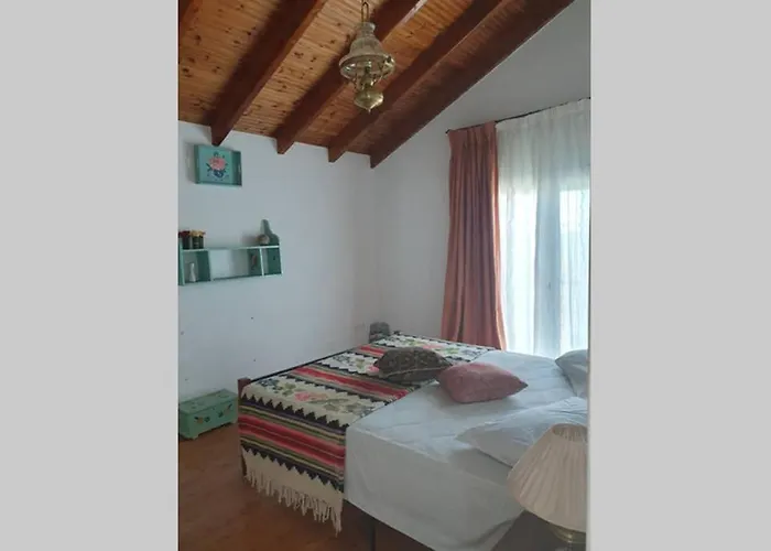 Villa σγουρής *