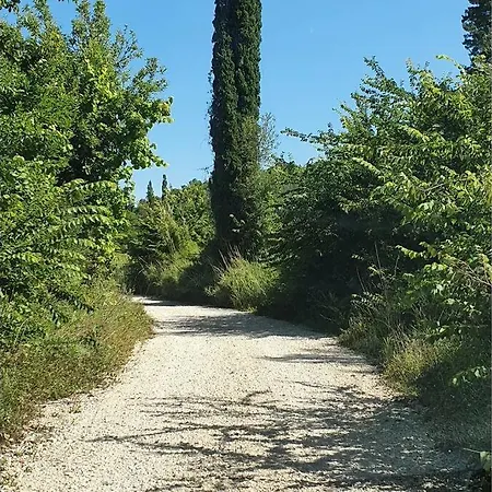 σγουρής Вилла *