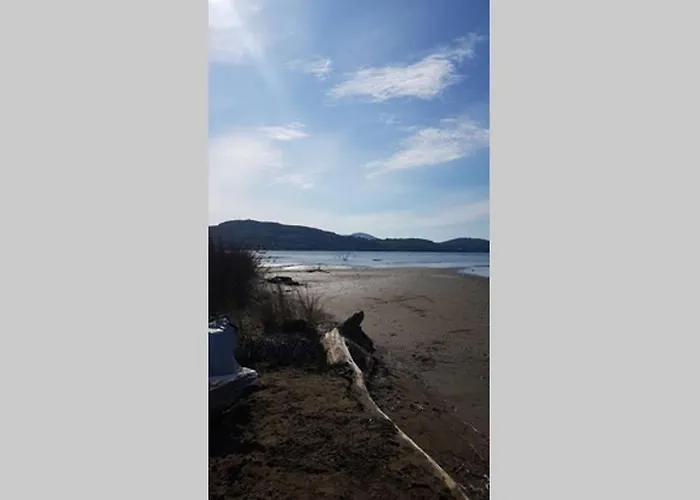σγουρής *