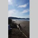 σγουρής *