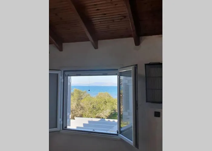 σγουρής فيلة ليفكيمي