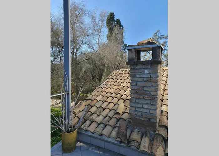 σγουρής ليفكيمي