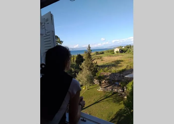 فيلة σγουρής