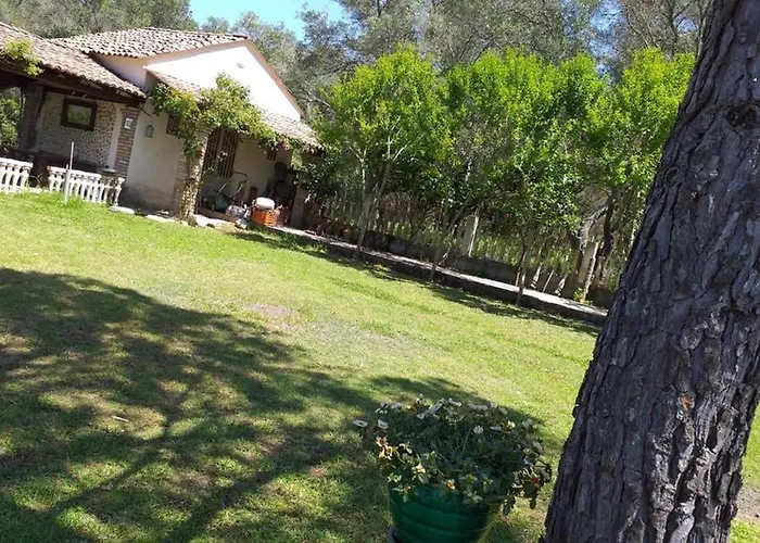 σγουρής فيلة