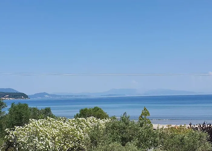 σγουρής * ليفكيمي